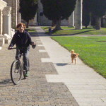 Friuli, otobre 2014 012