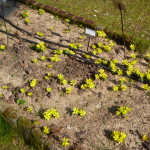 Milano febbraio 2015 016