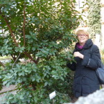 Milano febbraio 2015 024