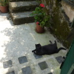 Caucaso luglio n15 010