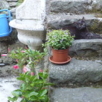 Espressionismo a Genova 025