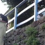 Luglio caldissimo 2015 005