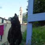 Luglio caldissimo 2015 016