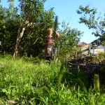 Miscellanea. agosto 15 018