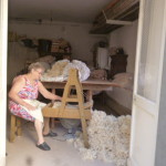 Agosto 2016 borzonasca 046