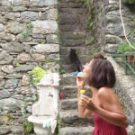 Girasoli e Paola, Levaggi 017