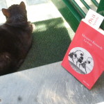 Miscellanea. agosto 15 065