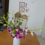 ferragosto-e-varie-054