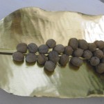 Menecmi e Restart febbr 17 023