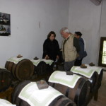 CARPI AMARCORD III 29.4.17 045