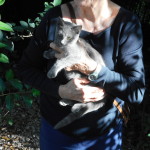 fine estate 2016 + Giuly 009