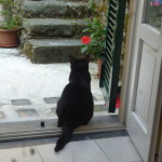 Luglio caldissimo 2015 001