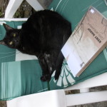 Post Mimilla 2017 013