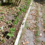 Post Mimilla 2017 017