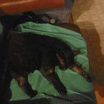 Post Mimilla 2017 044