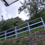 Miscellanea. agosto 15 002