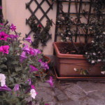 Agosto, Borzone, varie 002