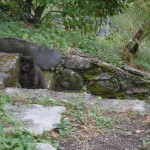 settembre 2017 Borzonasca 171