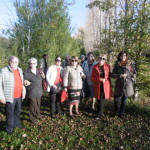 Amarcord IV Carpi Nov.17 025