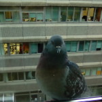 IMG_20191112_083313(1)