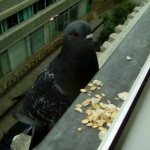 IMG_20191117_132847(1)