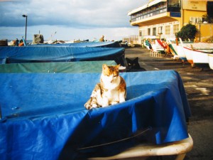 Lo stesso colore blu dei pantaloni sbiancati dal salino ...
