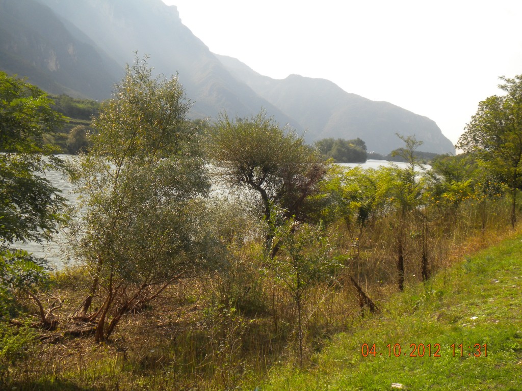 E Chiaro Nella Valle Il Fiume Appare