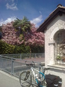 8 - TN RIVA 13 APR 2013 (12)