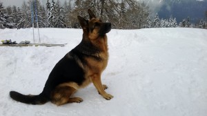 3 - 26 MARZO 2014 PAGANELLA (11)