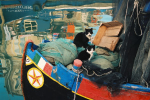 Foto Davide Pivetti: "Gatti a Chioggia"