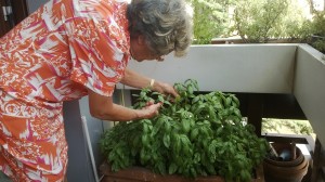 1 WP_20120902_001 (2)