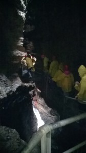 Nel mezzo del cammin de la discesa ...