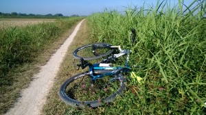 WP_20140829_008 - Copia