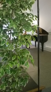 Arco, Palazzo Panni: prova di concerto. La musicista si scalda: suonerà tutto a memoria!