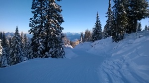 Dosso Larici (gennaio 2015)