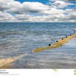 Con questa rete si pescano anche i ... tonni!