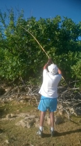 rICC SECONDO mt.JPG (3)