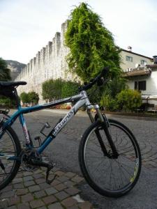 04-11-2015 12.28.43_0089