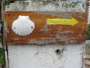 Pecten jacobeus e fleccia - Simboli del Camino