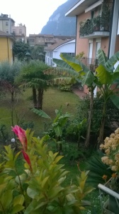 WP_20160103_14_47_39_Pro