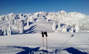 Non di coli libri vive l'uomo ... (una mattina in Paganella)