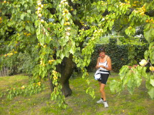 Val Passiria 24 lug 2016 (14)