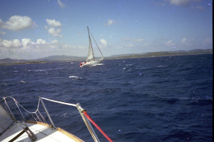 da-whisper-nelle-bocche