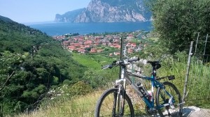 wp_20160629_001-copia