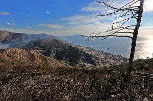 174943777-86cd3248-9cf8-4c08-b2bc-8c1d575dbe08