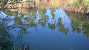 WP_20170430_003 - Copia