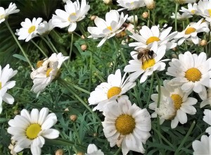 WP_20170520_007 - Copia