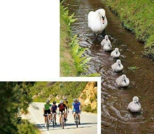 IMG-20170803-WA0003_LI - Copia