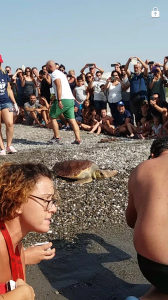 Screenshot_20170902-162210