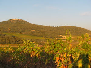 12 ot 2011 S. Angelo (2)